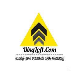 BingLoft Web Solution